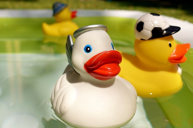 Confused About Which Toys You Should Buy? This Advice Will Help! confused about which toys you should buy this advice will help