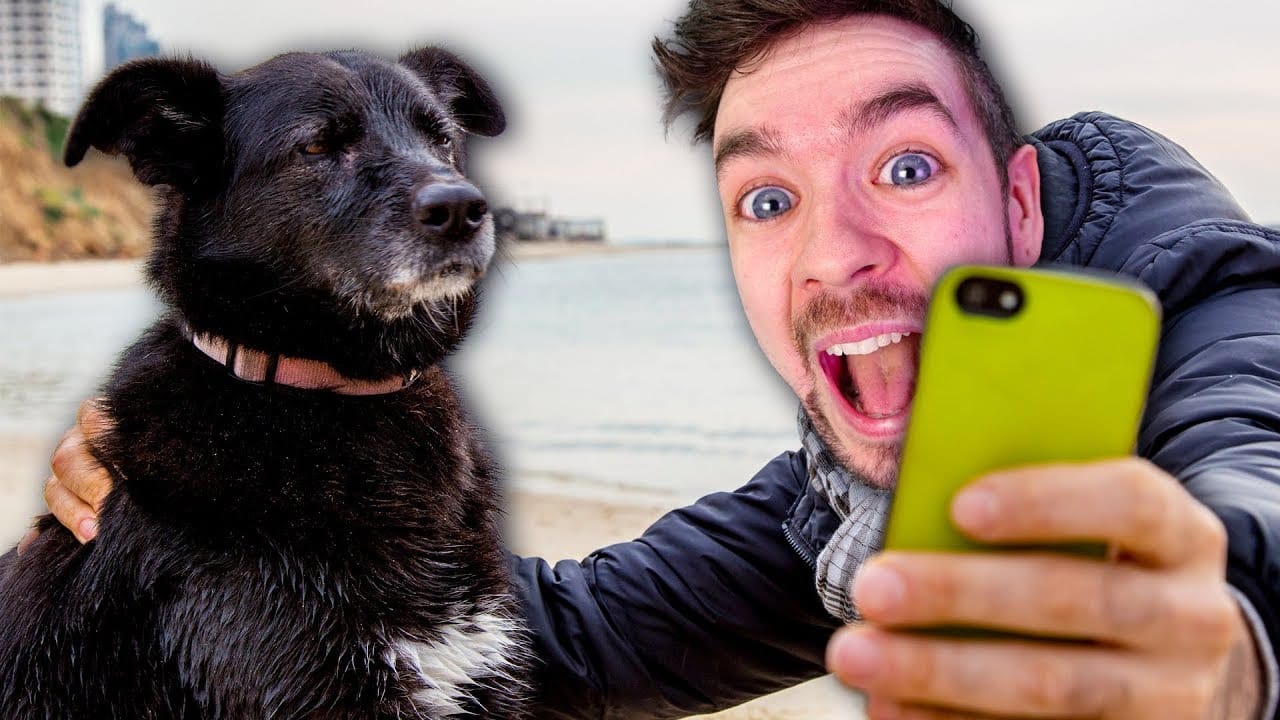 4 ANIMAL GAMES, 1 VIDEO #2 rootF IMG 6718aca9bb844