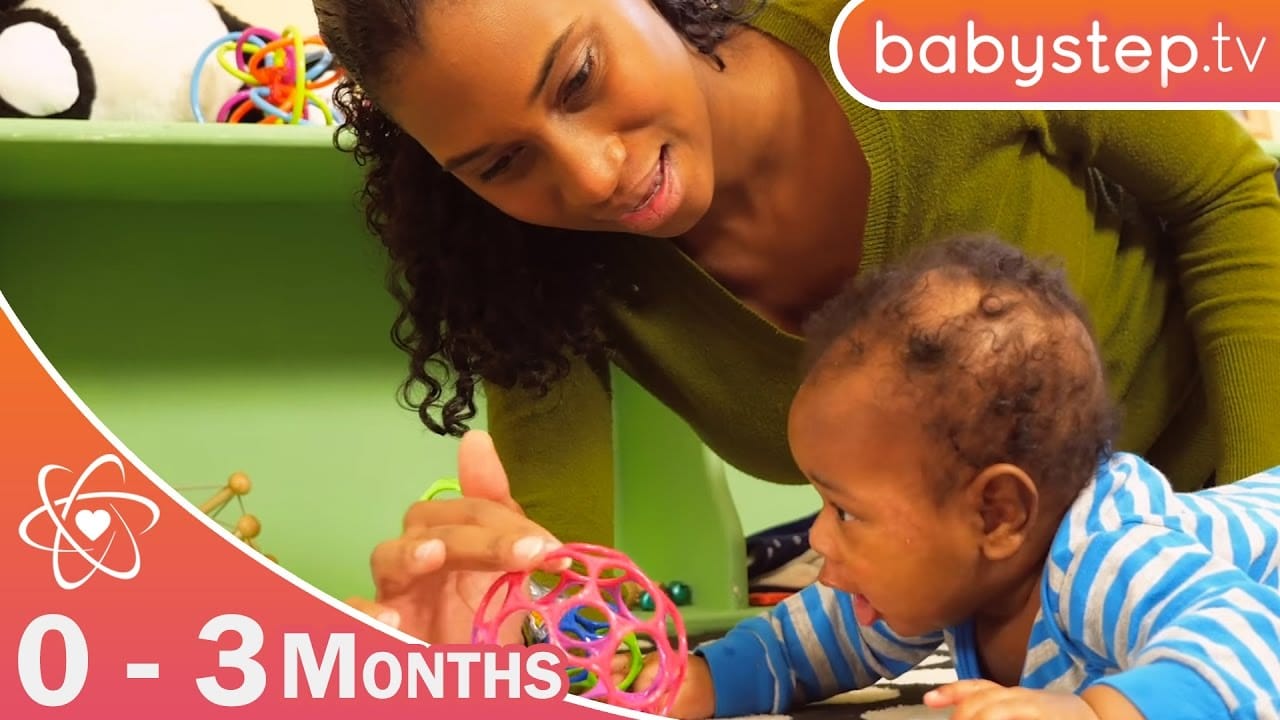 rootF IMG 671ce036288c1