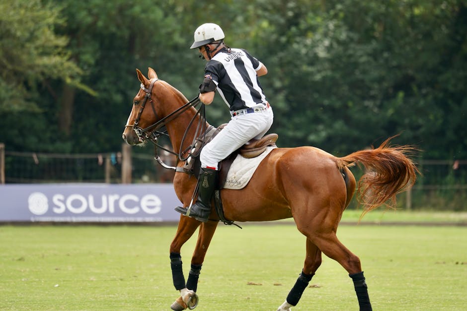 The Wonderful World Of Toys And Games pexels photo 31292754