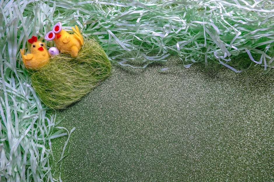 pexels photo 31343557