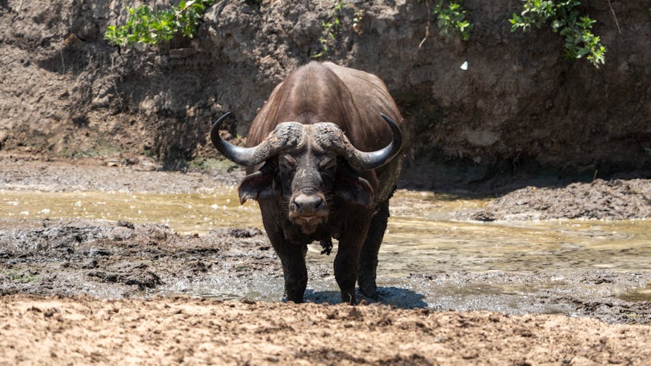 Why Did The Teddy Bear Say No To Dessert? Because She Was Stuffed! pexels photo 32445259