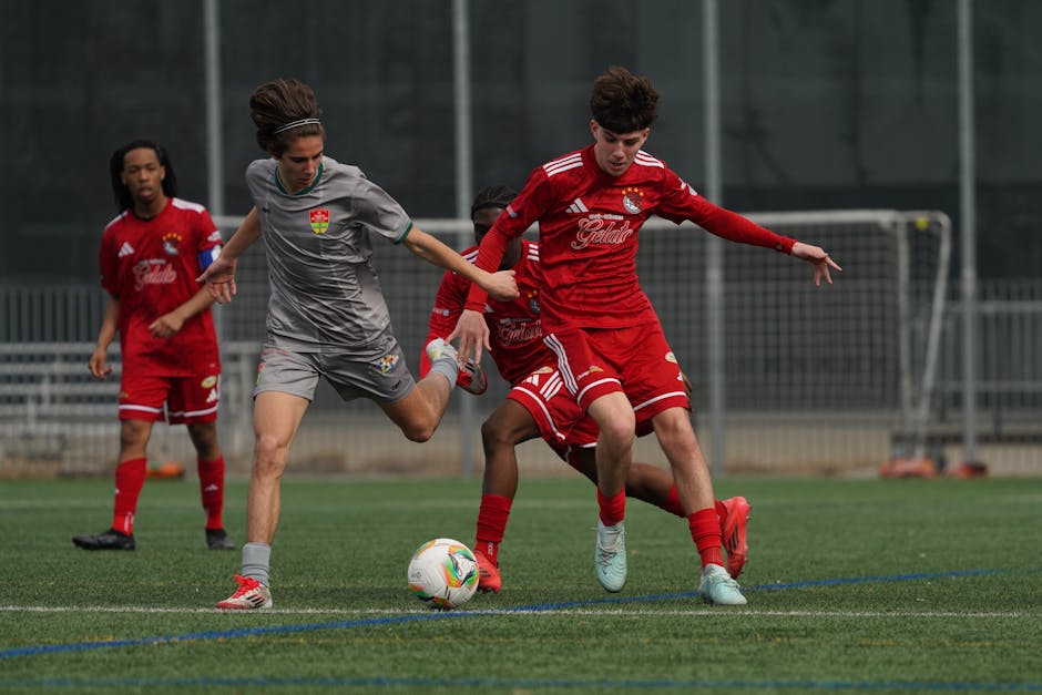 7 Engaging Toys And Games That Boost Your Child's Development pexels photo 32497619